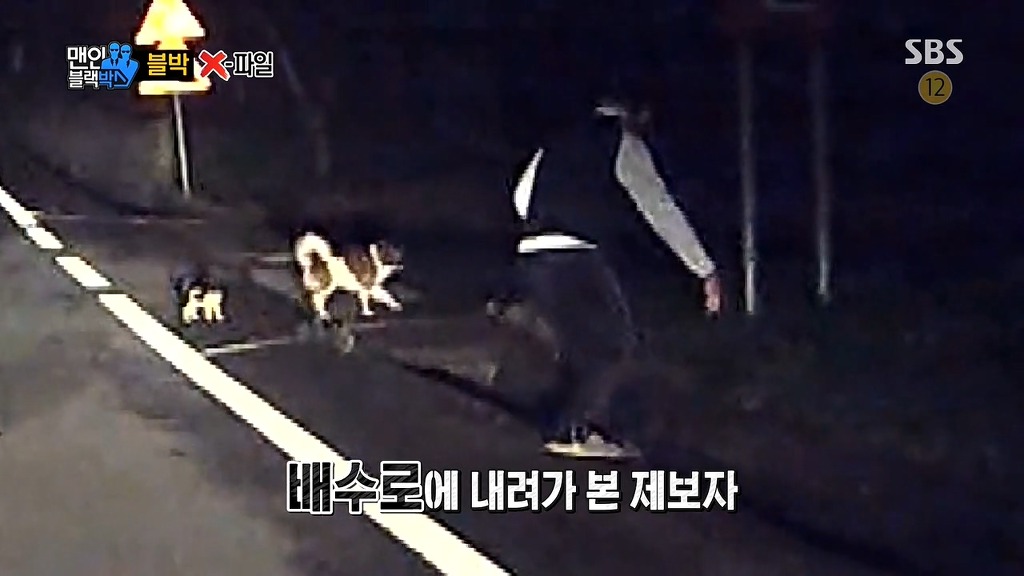 사람에게 도움을 청하는 강아지들 | 인스티즈