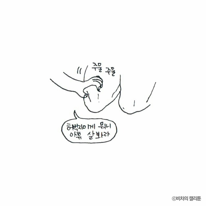 [비차의캘리툰] 프리사이즈가 아니잖아 | 인스티즈