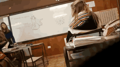 고양이를 정말 좋아하는 여학생들.gif | 인스티즈