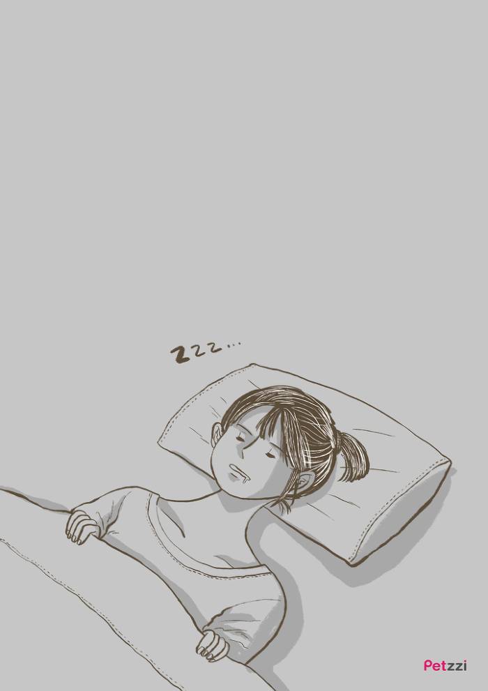 이해할 수 없는 고양이들의 취향.jpg | 인스티즈