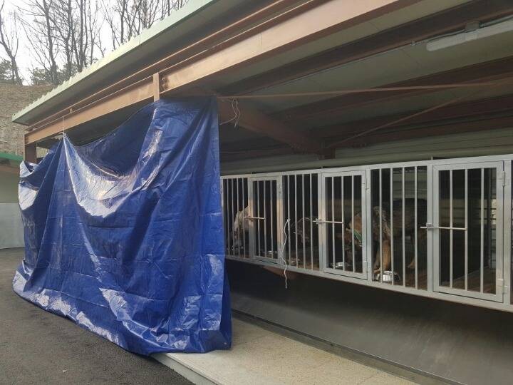 23억이나 들여서 신축한 청주 유기동물 보호소의 실태 | 인스티즈