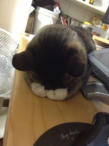 사람을 손쉽게 죽이는 방법 | 인스티즈