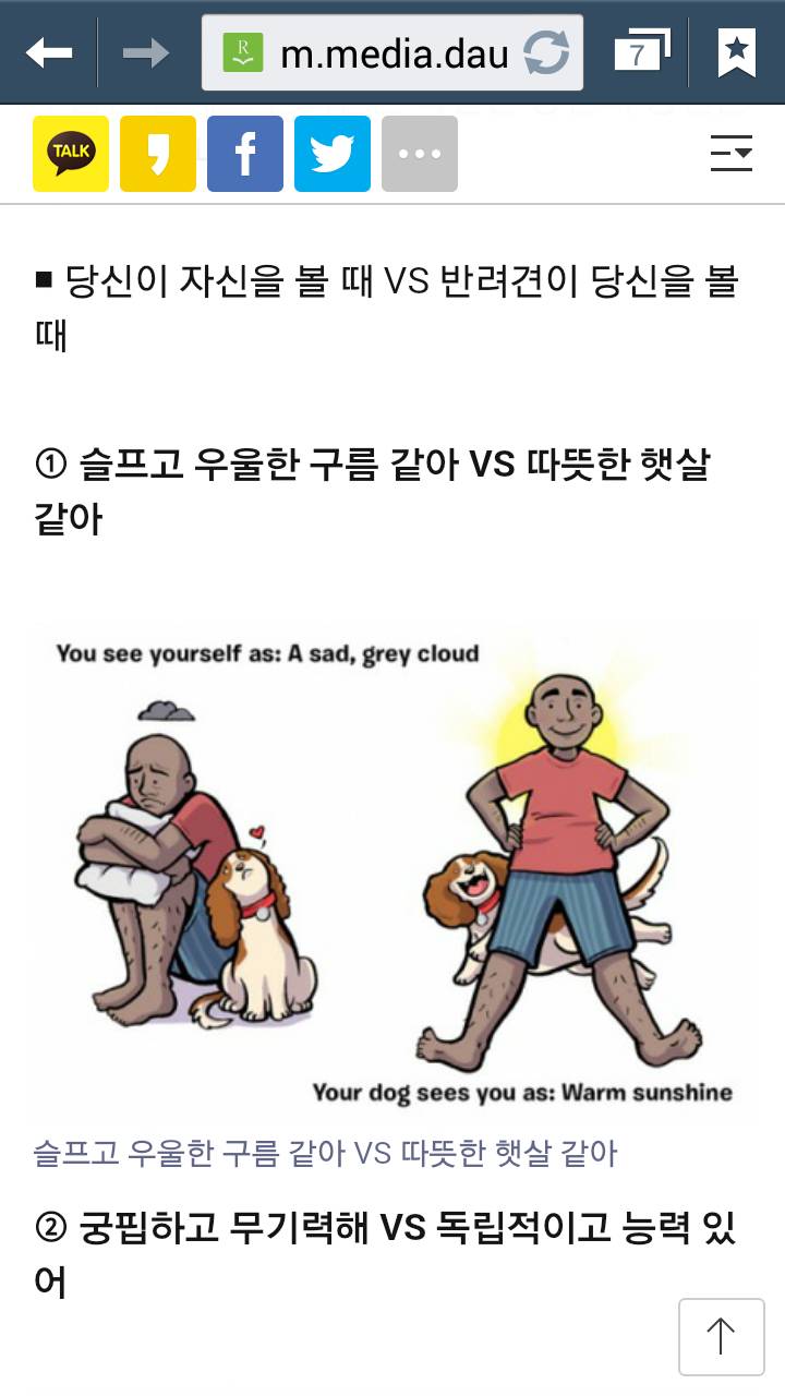 반려견 눈에 당신은 이렇게 보인다..8가지 | 인스티즈