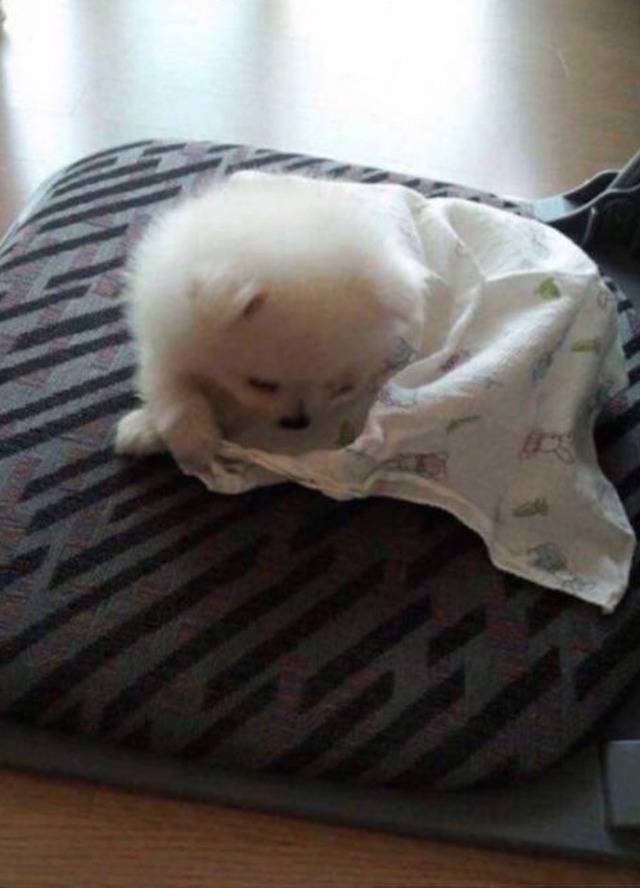 이불 덮고 자야지.jpg | 인스티즈