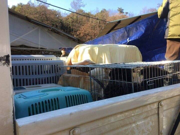 23억이나 들여서 신축한 청주 유기동물 보호소의 실태 | 인스티즈