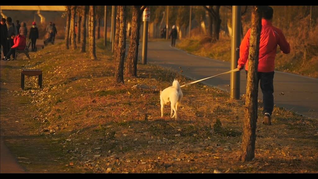 서울의 하루.jpg | 인스티즈