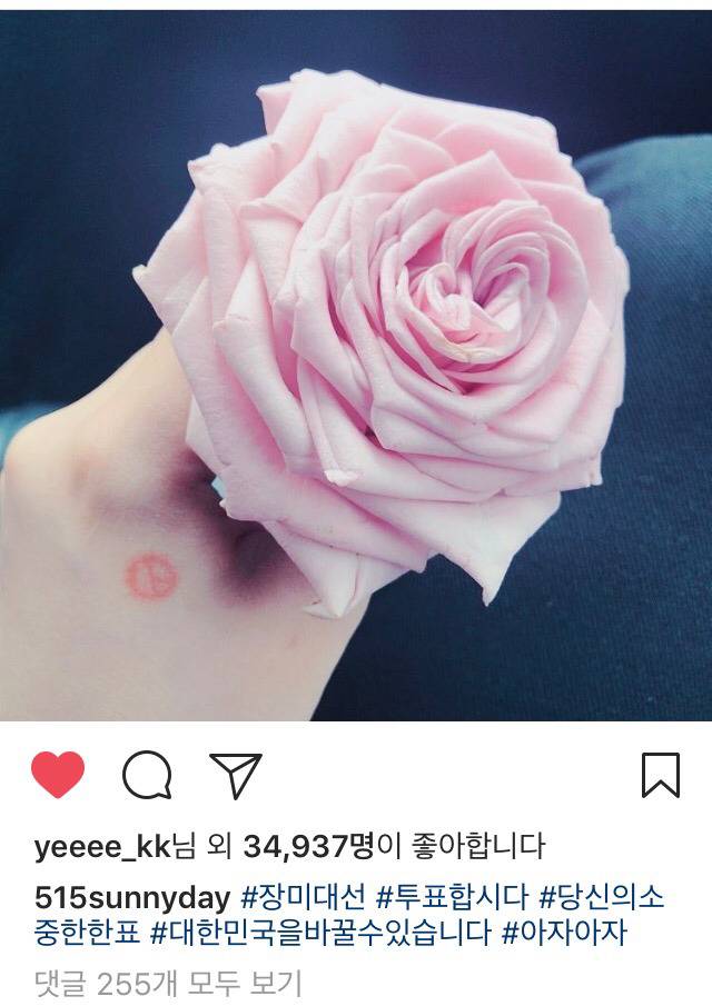 5/9 투표한 써니.insta | 인스티즈