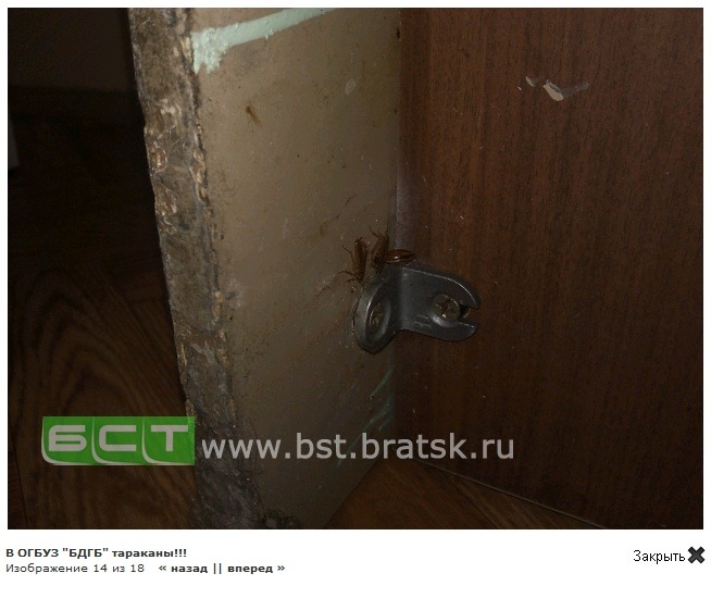  러시아의 병원 실상을 알아보겠습니다 | 인스티즈