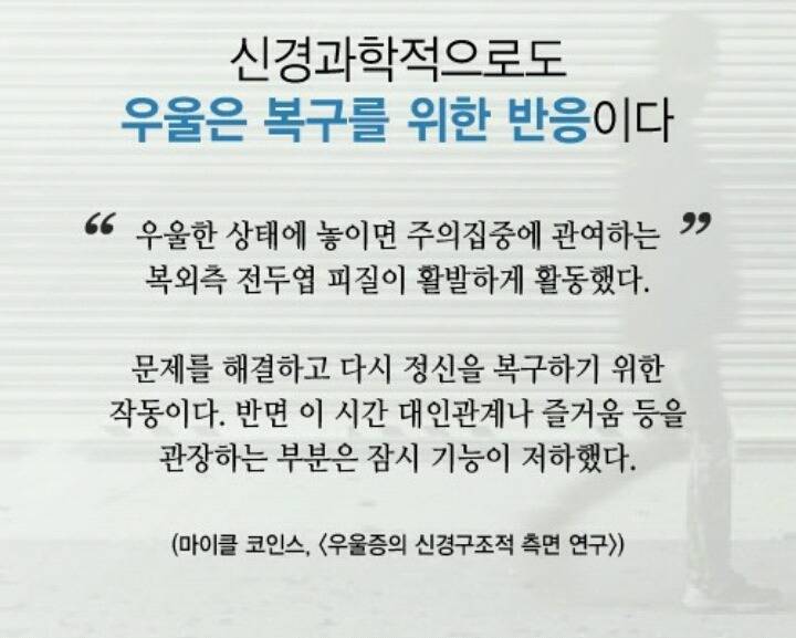 당신의 우울증은?.. | 인스티즈