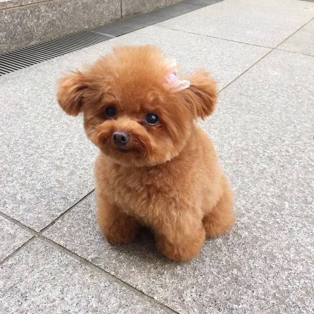 영화 죠스 실감나게 보는 방법 | 인스티즈