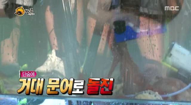 [무한도전] 나망이 배꼽잡고 웃었던 방콕특집 | 인스티즈