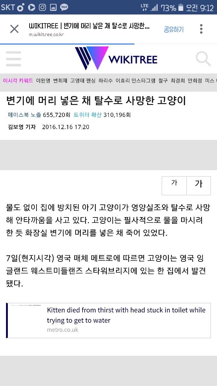 변기에 머리 넣은 채 탈수로 사망한 고양이 | 인스티즈