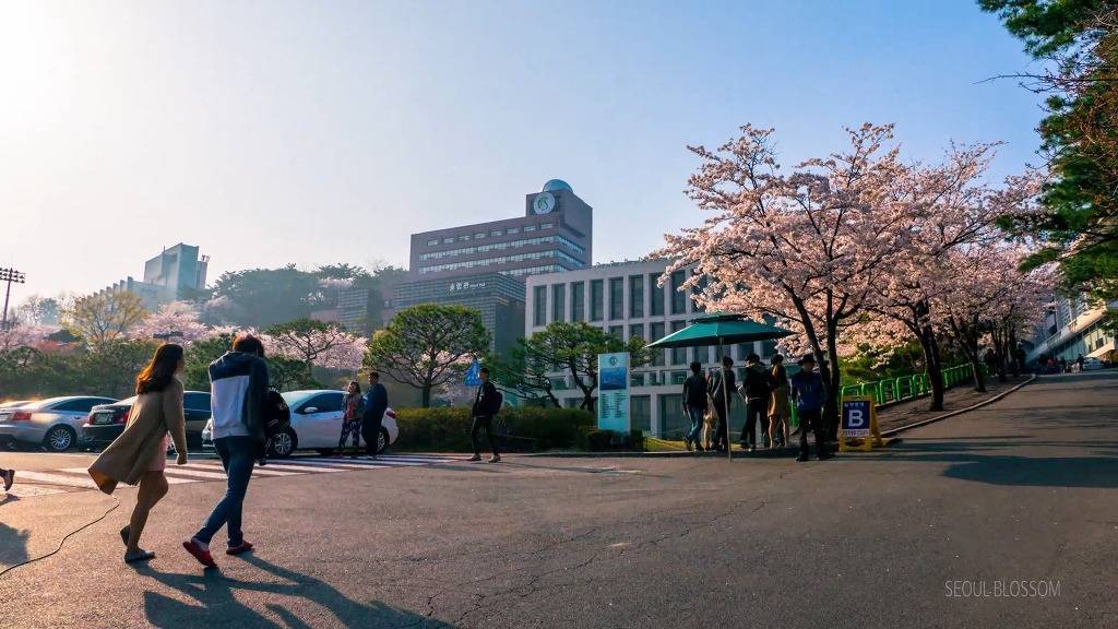 서울의 하루.jpg | 인스티즈