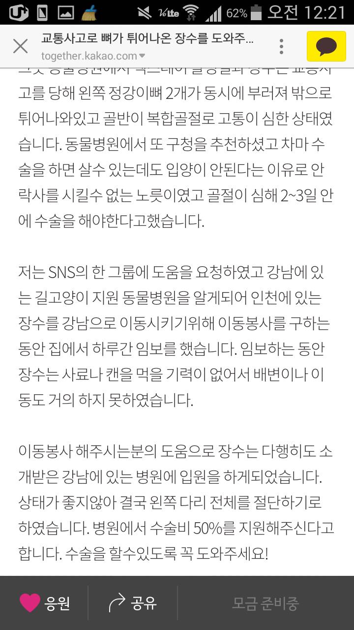 교통사고로 뼈가 튀어나온 길고양이 장수를 도와주세요! | 인스티즈