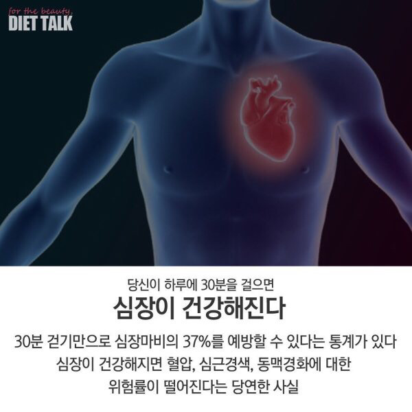 하루 30분 걷기로 당신에게 일어날 10가지 변화 | 인스티즈