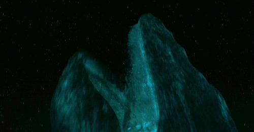 [라이프오브파이] 재개봉하면 아이맥스로 꼭 한번 다시 보고 싶은 영화.gif | 인스티즈