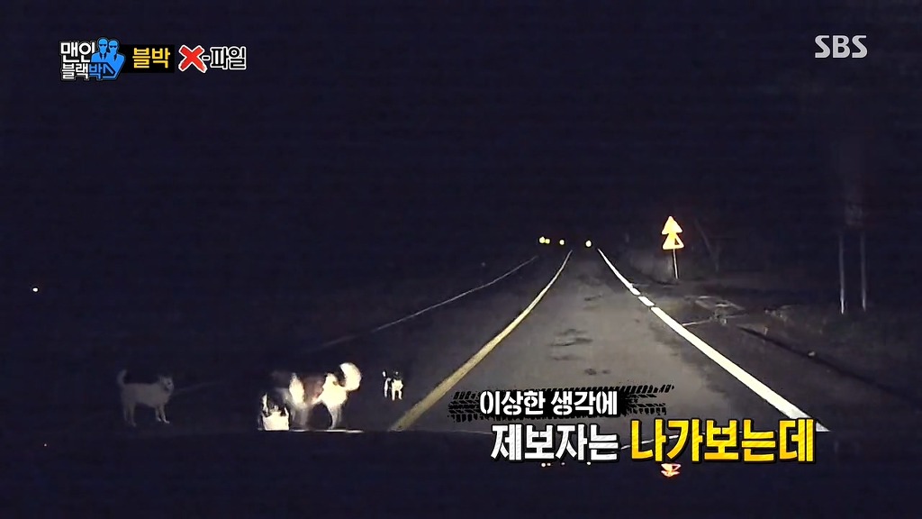 사람에게 도움을 청하는 강아지들 | 인스티즈