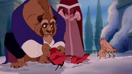 미녀와 야수 - 친해지는 과정 | 인스티즈