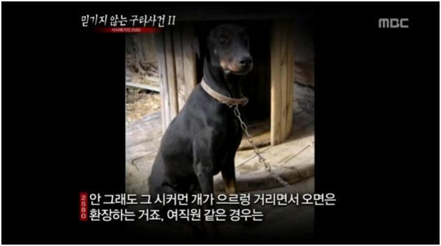 통신사 SK 안쓰는 이유 | 인스티즈