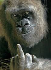 엿 어라!가 욕이 된 이유 | 인스티즈