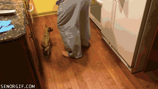 혼자 밥먹기 싫엉~ | 인스티즈