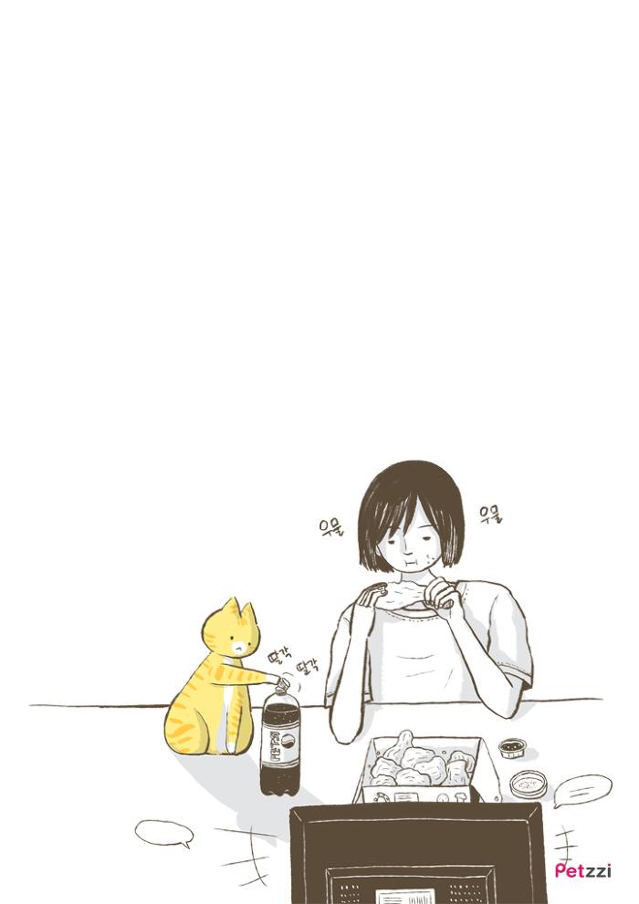 이해할 수 없는 고양이들의 취향.jpg | 인스티즈