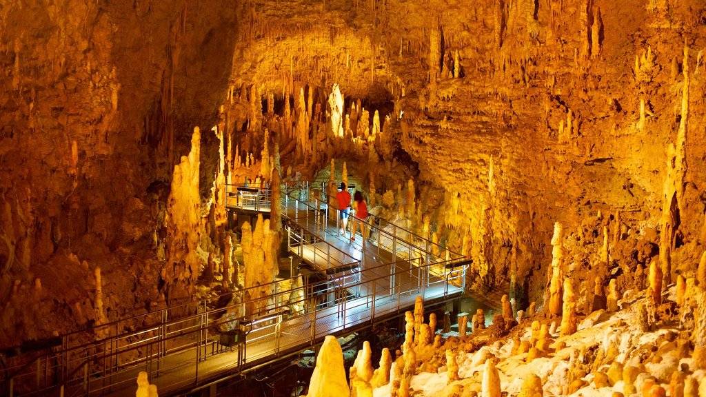 대학생 추천 여행지 오키나와 ㅎㄷㄷ | 인스티즈