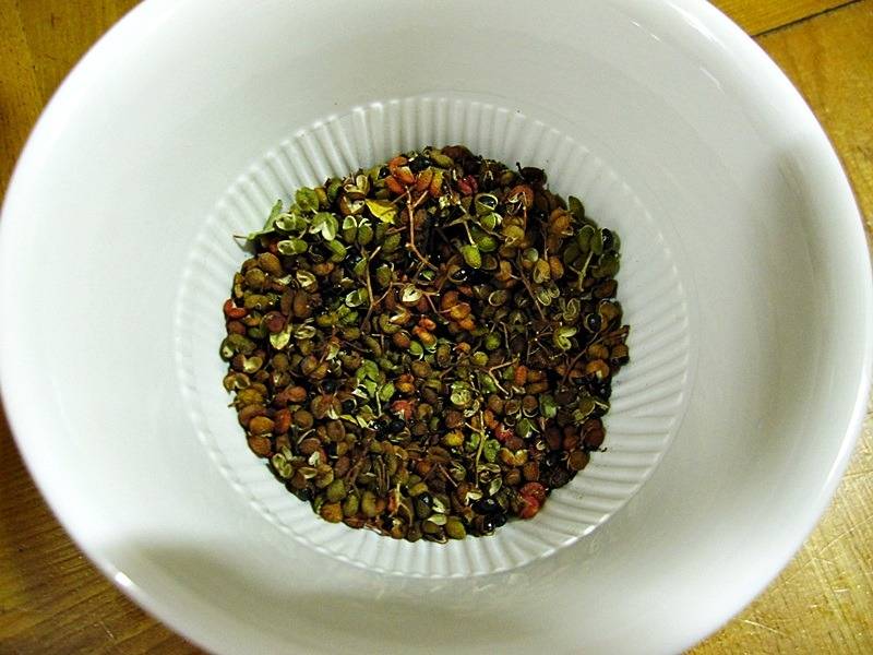 소주안주...(4) | 인스티즈