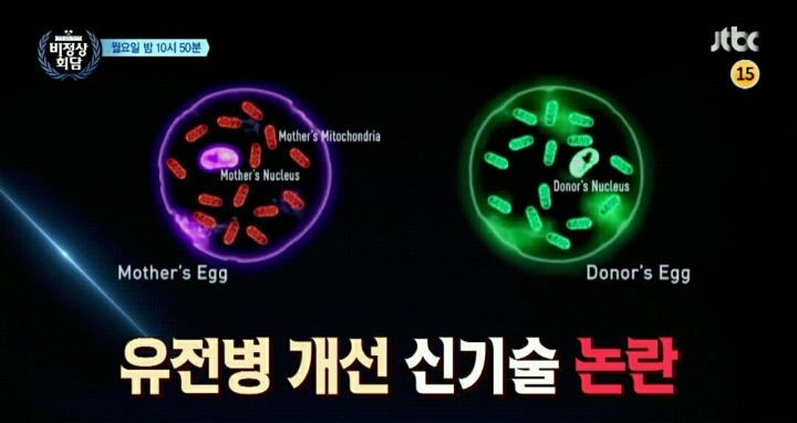 오늘자 비정상회담 예고 | 인스티즈