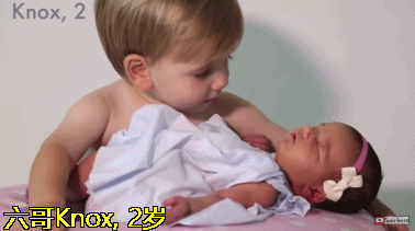 갓 태어난 여동생을 바라보는 오빠들.gif | 인스티즈