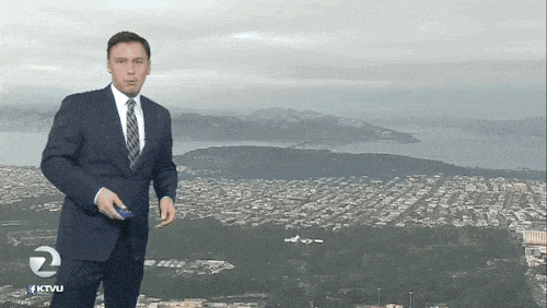 뉴스 기상 체크도중 괴수 출연 | 인스티즈