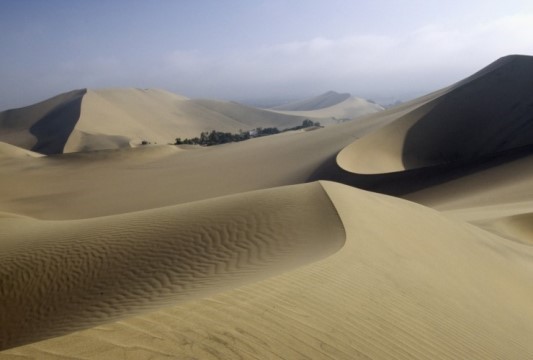 사막 한가운데 오아시스 jpg | 인스티즈