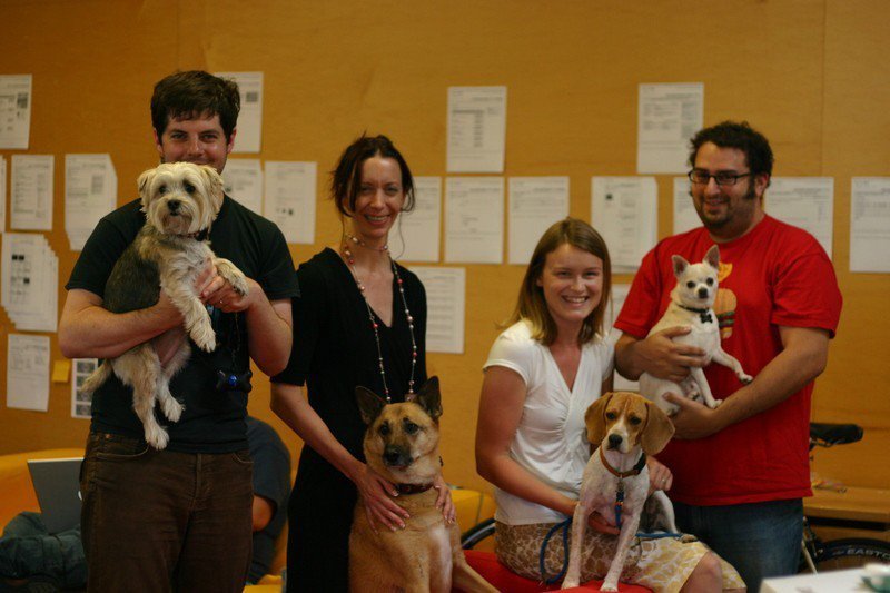 직장에 개 데리고 가는 날.jpg | 인스티즈