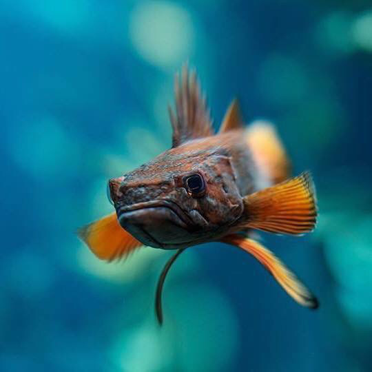 돔물믜 뫔국.jpg | 인스티즈