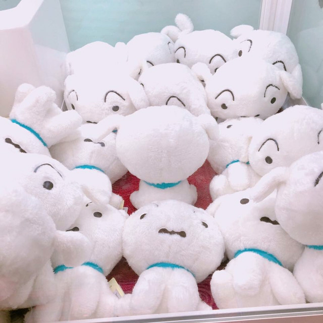 홍대의 인형자판기 | 인스티즈