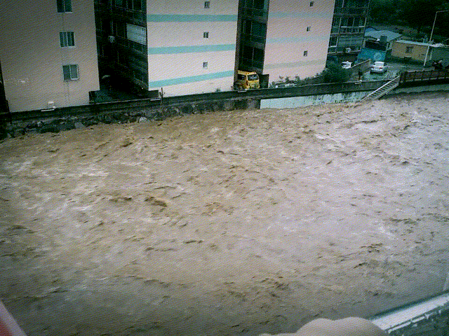 생각보다 심한 부산&경남 상황 | 인스티즈