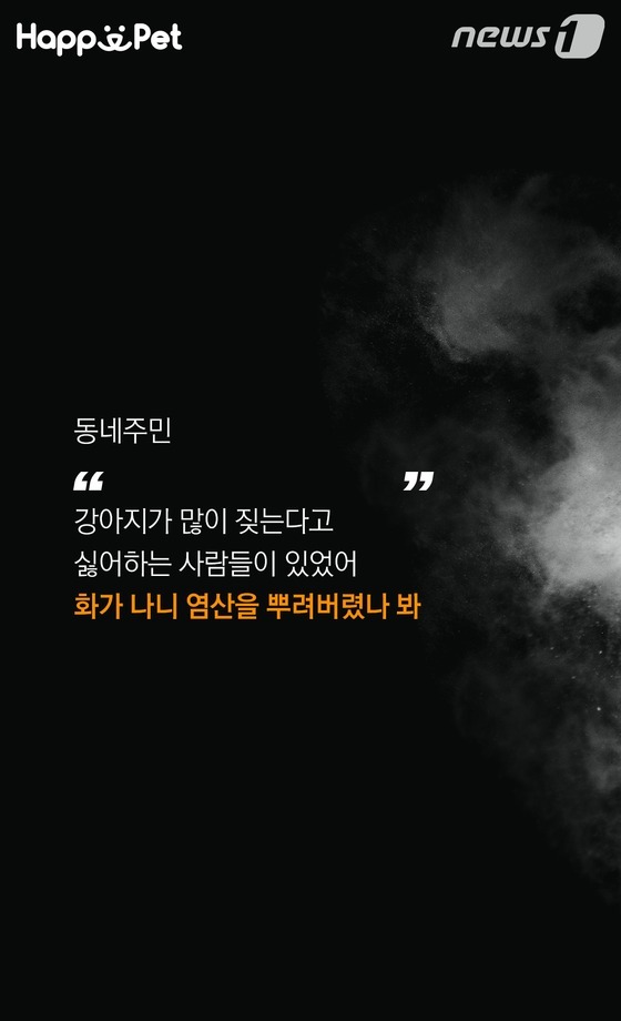 흑석동 강아지 염산테러사건의 전말 | 인스티즈