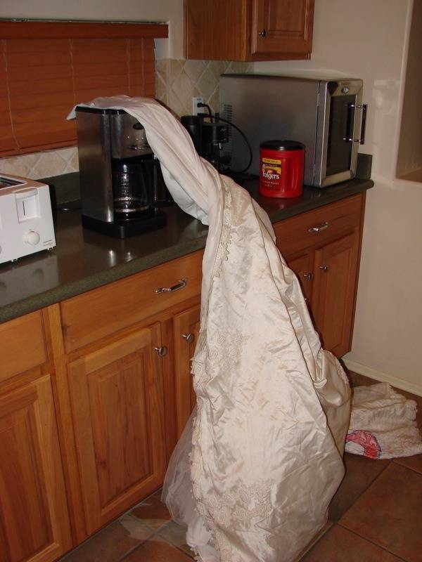 전 부인이 집에 놔두고 간 웨딩드레스 | 인스티즈