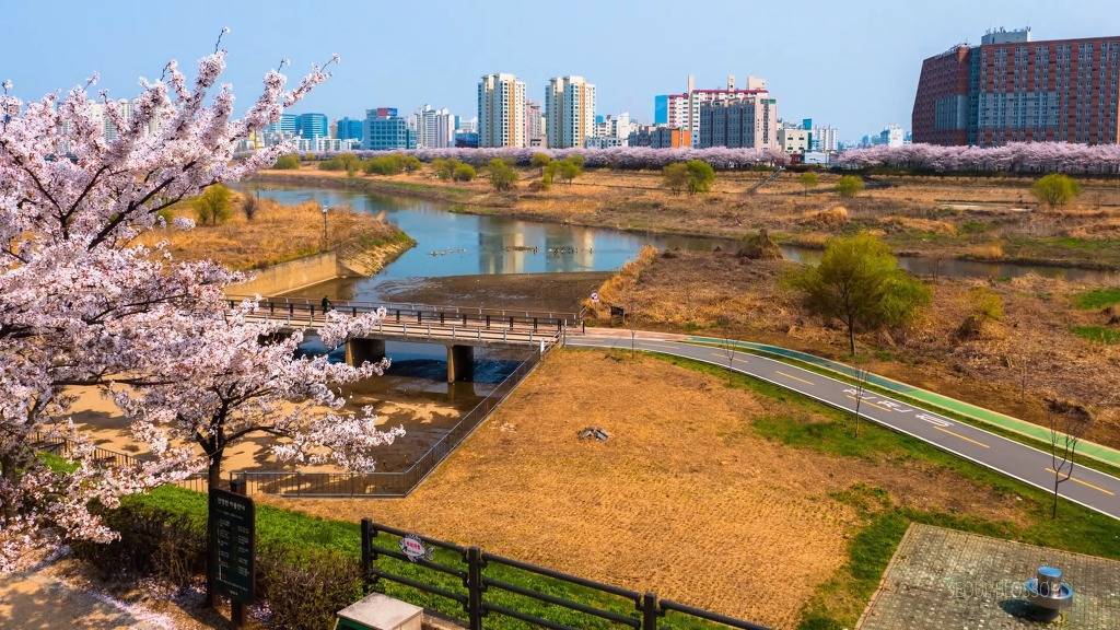 서울의 하루.jpg | 인스티즈