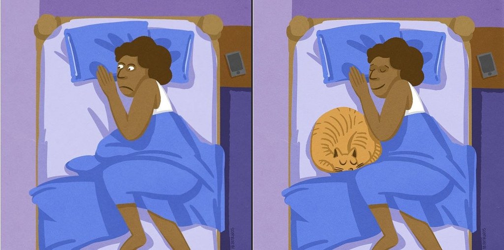 집사와 비집사의 차이라고 하긔 | 인스티즈