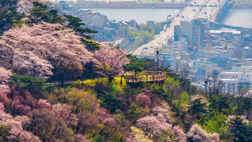 서울의 하루.jpg | 인스티즈