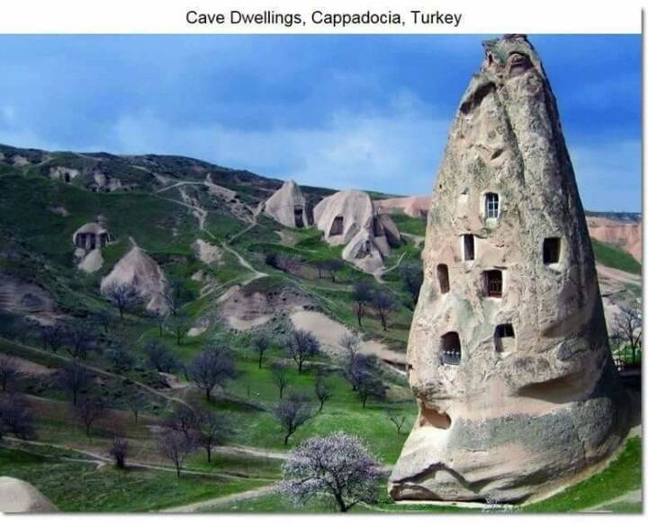 특이한 디자인의 집들 | 인스티즈