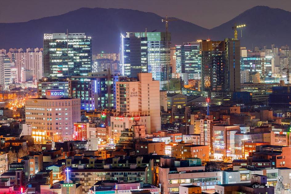 경기도 6대 도시.jpg | 인스티즈