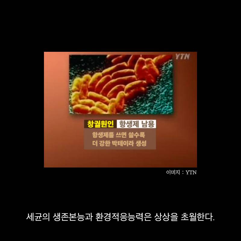 항생제의 역습 | 인스티즈