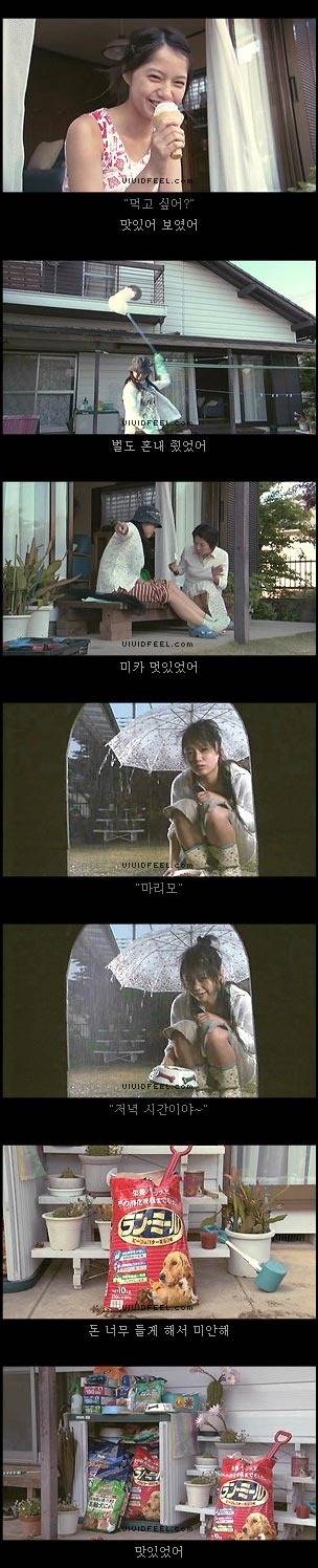 개의 일생 | 인스티즈