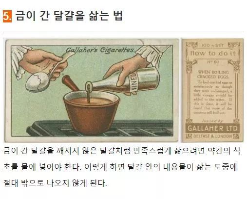 100년전 사람들의 지혜 | 인스티즈