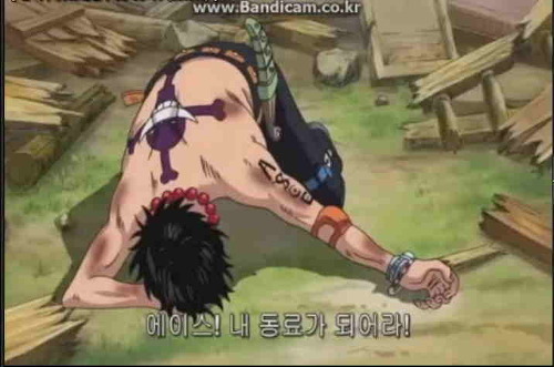 에이스의 기묘한 항해 | 인스티즈