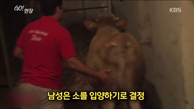 감사함을 아는 동물 | 인스티즈