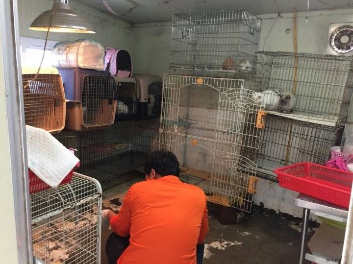 23억이나 들여서 신축한 청주 유기동물 보호소의 실태 | 인스티즈