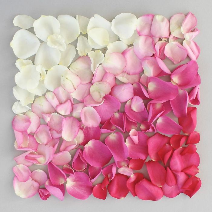 기분이 좋아지는 사진 | 인스티즈